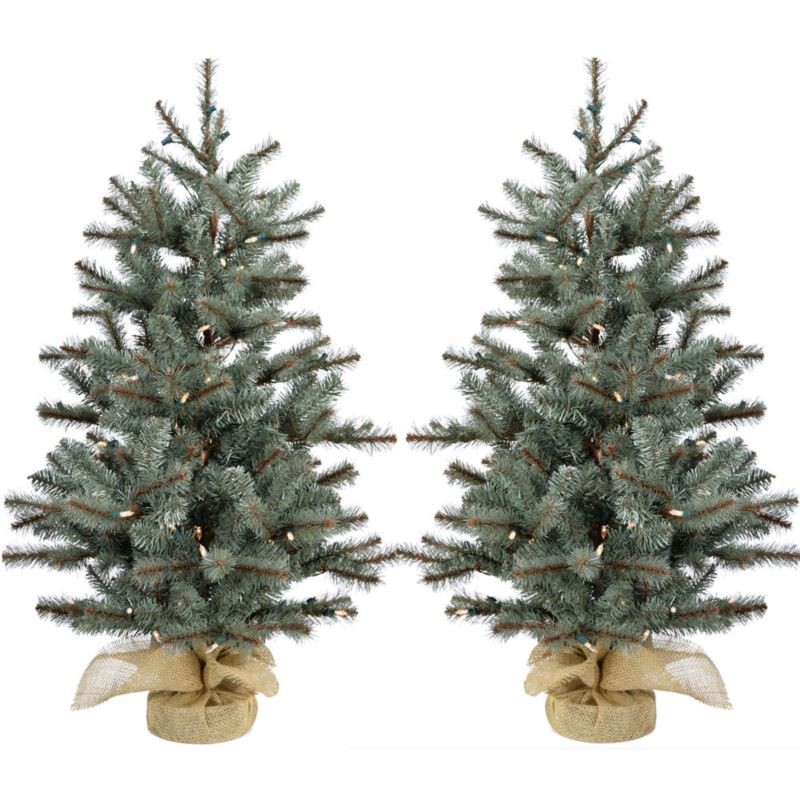 Set of Two 3-Ft. Yardville Pine Artificial Porch Trees with Rustic Burlap Bases and LED String Light